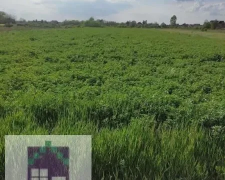 Sale, land lot, 2000m², Zvečka, Obrenovac - image 2