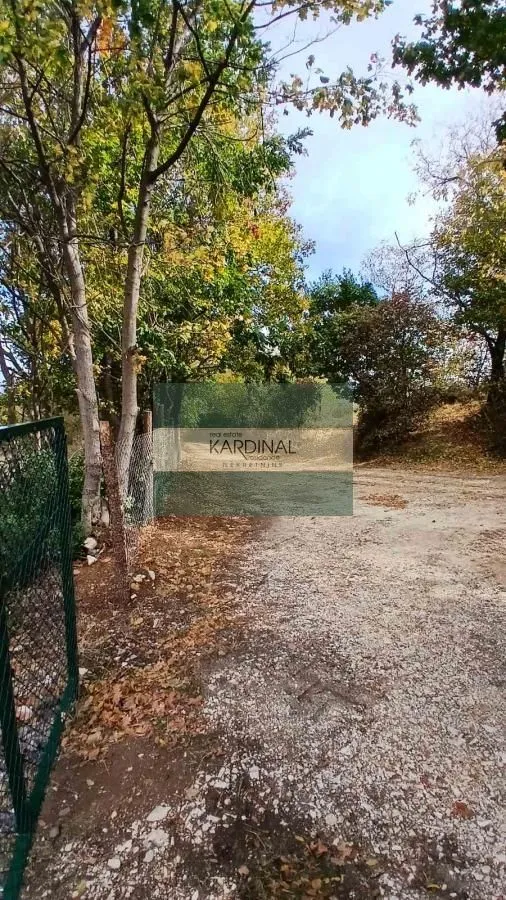 Zasađeno dvorište sa prilazom i drvećem.