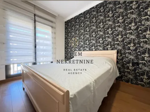 Izdavanje, jednosoban stan, 48m², Ljubović, Podgorica - image 2