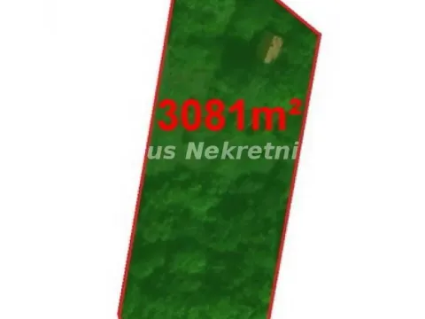 Sale, land lot, 3000m², Ledinci, Petrovaradin - image 2