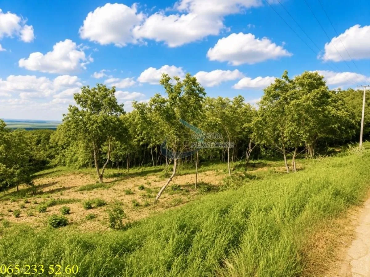 Prodaja, plac, 2600m², Novi Slankamen, Inđija