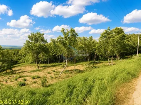 Sale, land lot, 2600m², Novi Slankamen, Inđija - image 4