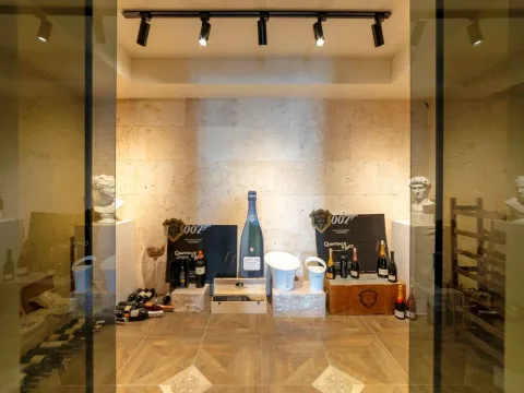 Sale, house, 420m², Blizikuće, Budva - image 18