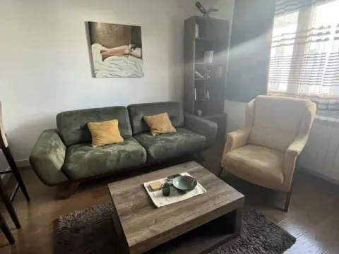 Rent, two bedroom apartment, 50m², Južni Bulevar, Vračar Sve Podlokacije - image 5