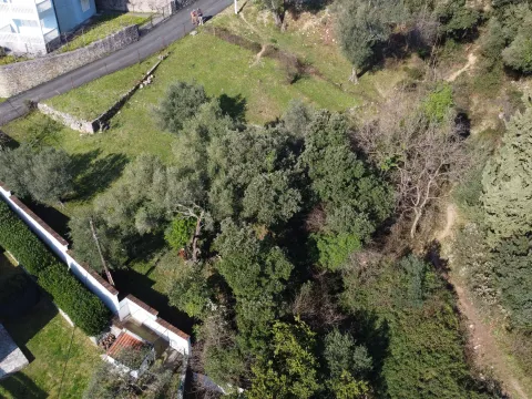 Prodaja, plac, 900m², Baošići, Herceg Novi - image 3