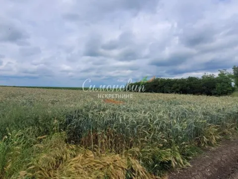 Prodaja, plac, 2200m², Zemun Ugrinovci, Zemun Sve Podlokacije - image 9