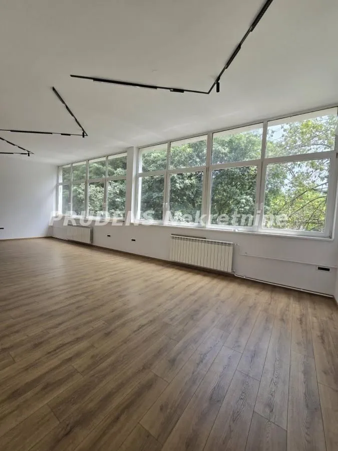 Izdavanje, poslovni prostor, 296m², Palilula Sve Podlokacije, Beograd