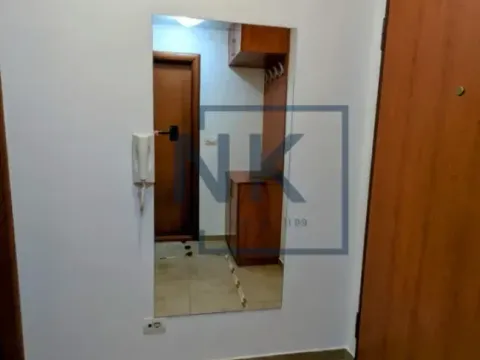 Izdavanje, jednosoban stan, 48m², Preko Morače, Podgorica - image 11