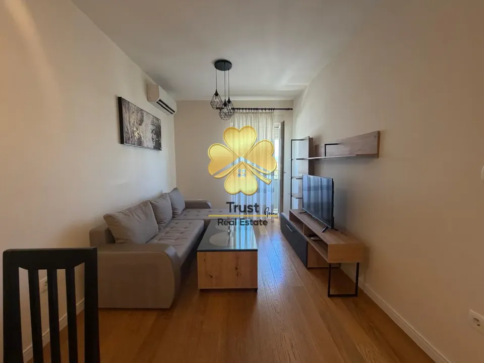 Rent, one bedroom apartment, 45m², Central Point, Podgorica