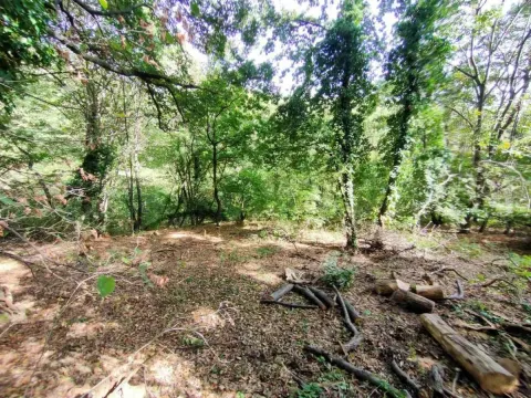 Sale, land lot, 1100m², Irig, Srbija - image 3