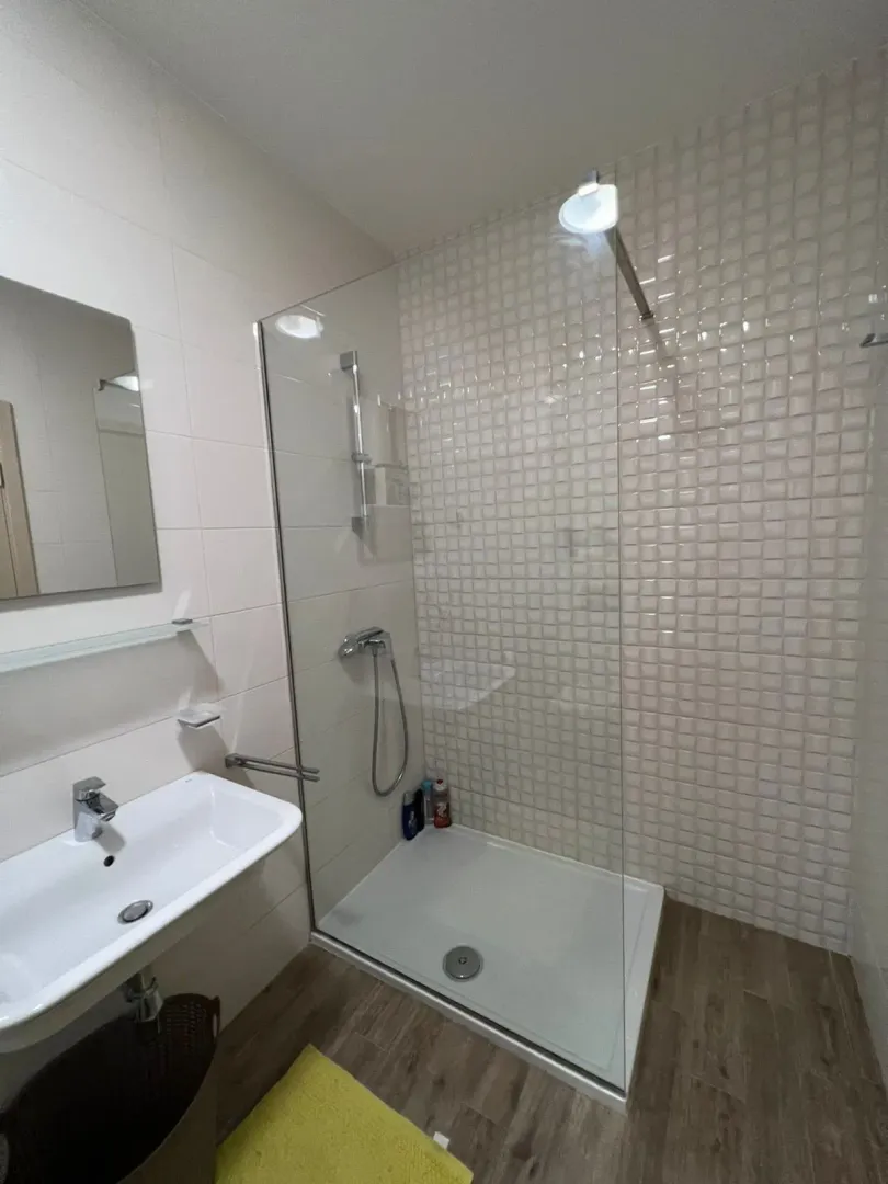 Moderno opremljeno kupatilo sa tuš kabinom i umivaonikom.