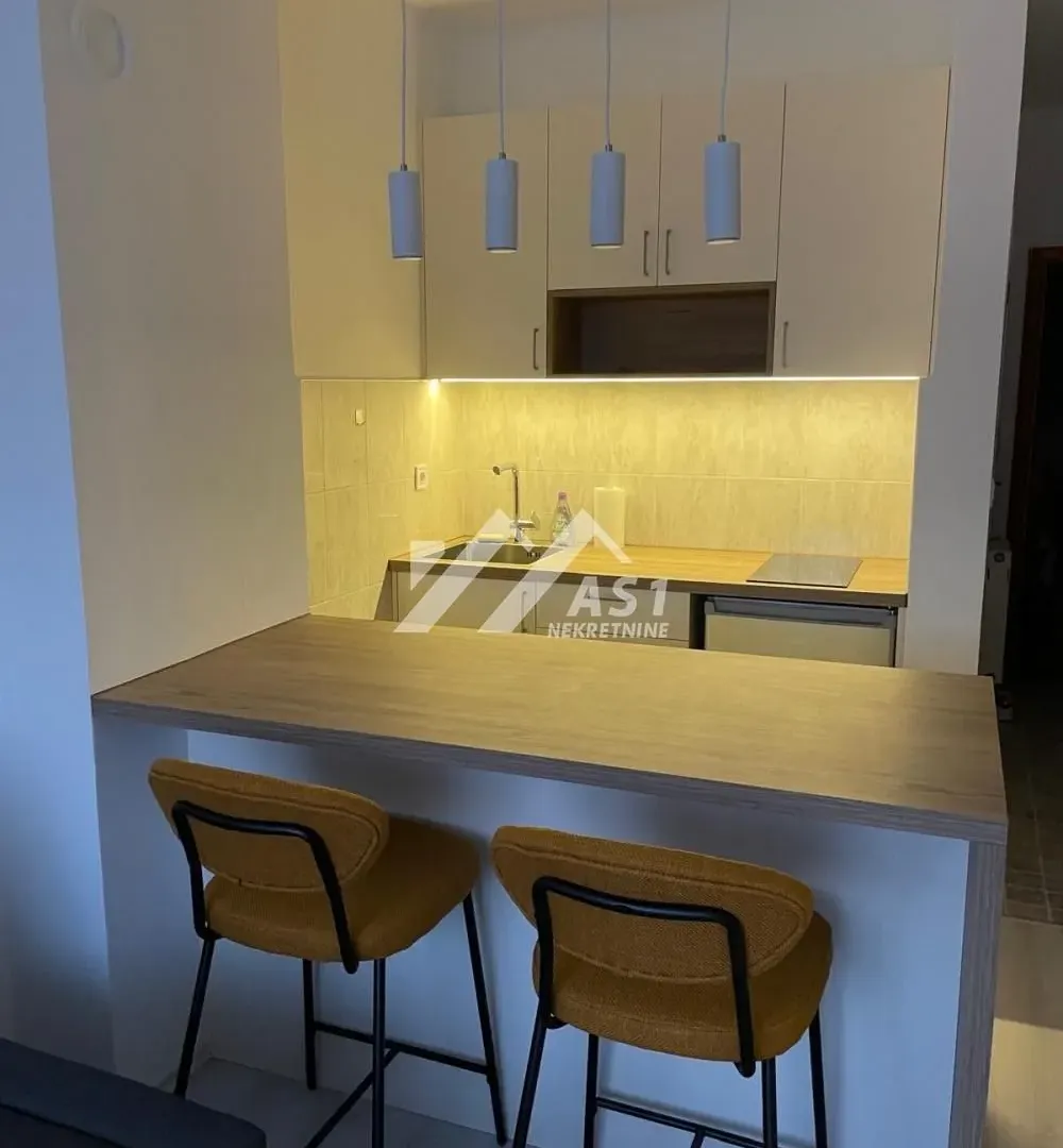 Izdavanje, stan, 24m², Centar, Novi Sad