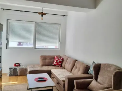 Izdavanje, jednosoban stan, 45m², Zabjelo, Podgorica - image 2