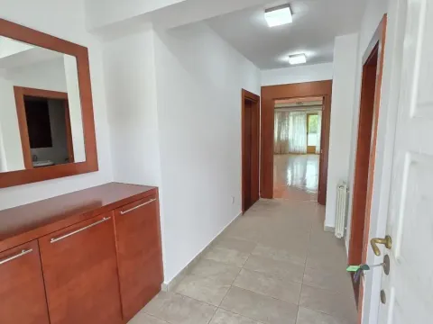 Izdavanje, kuća, 280m², Čukarica, Beograd - image 9