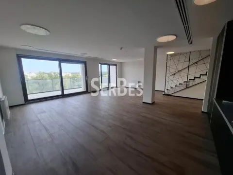 Izdavanje, poslovni prostor, 314m², Liman 3, Novi Sad Sve Podlokacije - image 2