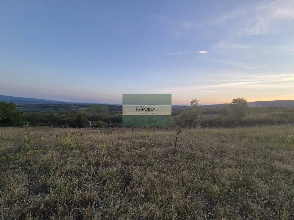 Prodaja, plac, 27920m², Siokovac, Jagodina