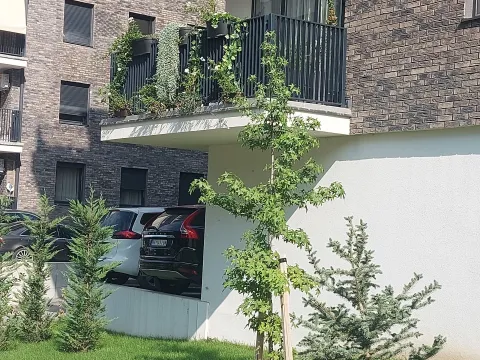 Rent, two bedroom apartment, 46m², Palilula Sve Podlokacije, Beograd - image 13