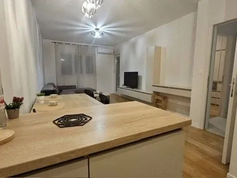 Izdavanje, jednosoban stan, 49m², Central Point, Podgorica - image 9