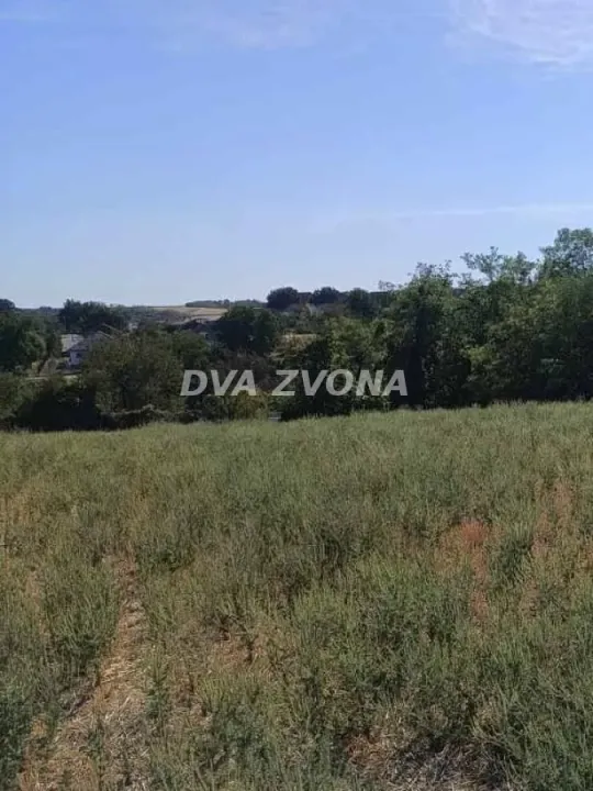Prodaja, plac, 5000m², Čortanovci, Inđija
