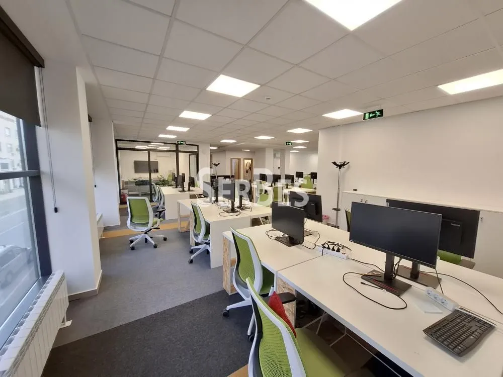 Rent, office space, 204m², Novi Sad Sve Podlokacije, Novi Sad
