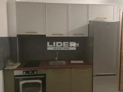 Izdavanje, dvosoban stan, 40m², Južni Bulevar, Vračar Sve Podlokacije - image 9