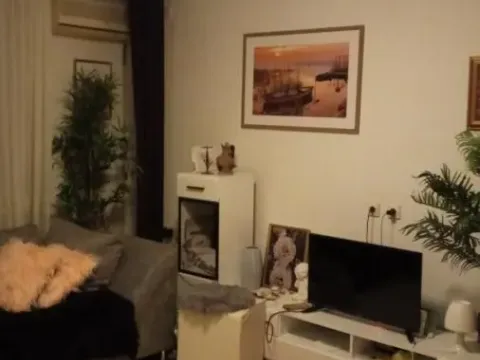 Prodaja, dvosoban stan, 48m², Satelit, Novi Sad Sve Podlokacije - image 3