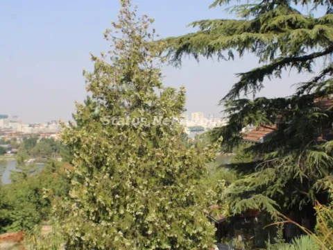 Sale, house, 104m², Petrovaradin, Novi Sad - image 21