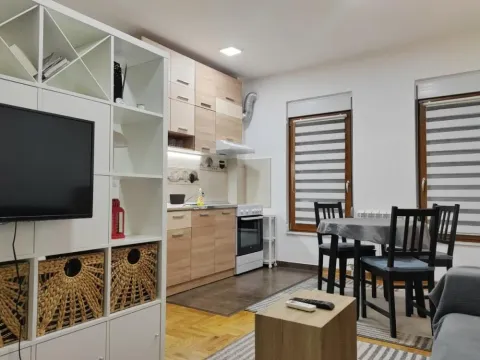 Izdavanje, dvosoban stan, 42m², Kluz, Zvezdara Sve Podlokacije - image 5