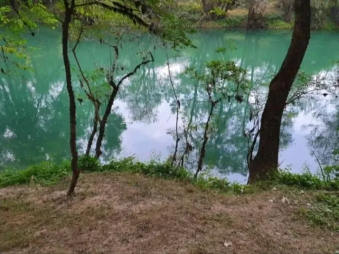 Prodaja, plac, 8500m², Frutak, Danilovgrad