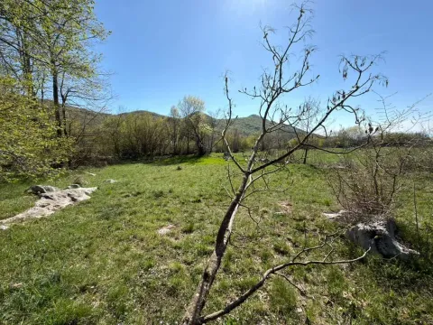 Prodaja, plac, 8979m², Kuči, Podgorica - image 6