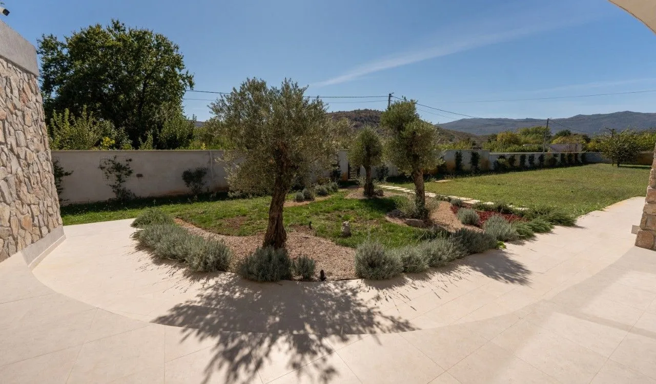 View of the landscaped courtyard and lawn with trees.