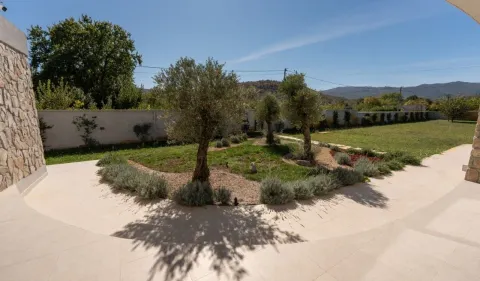 View of the landscaped courtyard and lawn with trees. - image 19
