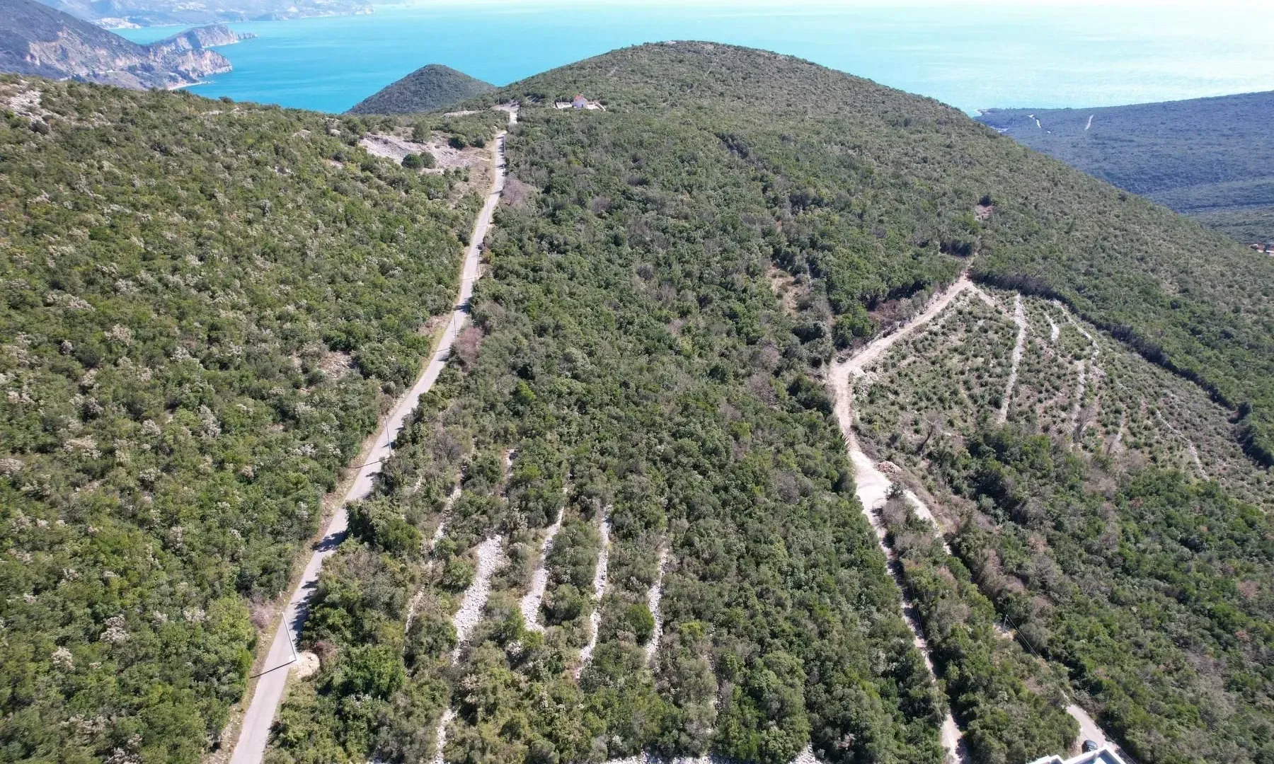 Prodaja, plac, 3542m², Višnjevo, Kotor