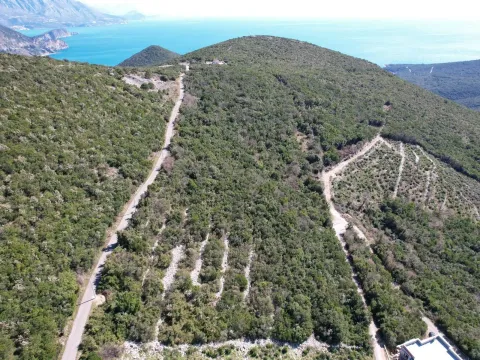 Prodaja, plac, 3542m², Višnjevo, Kotor - image 3