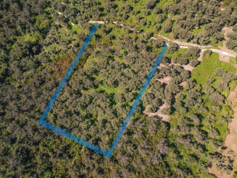 Prodaja, plac, 3030m², Ulcinj, Crna Gora - image 10