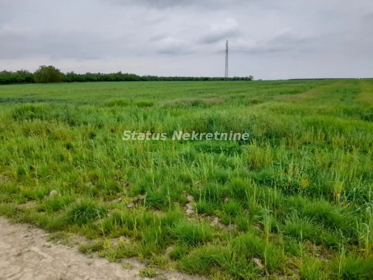 Prodaja, plac, 115m², Futog, Novi Sad Sve Podlokacije