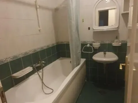 Izdavanje, dvosoban stan, 51m², Grbavica, Novi Sad Sve Podlokacije - image 11