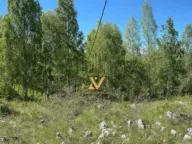 Sale, land lot, 470m², Borje, Žabljak - image 7