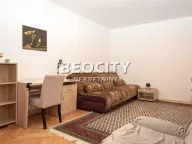 Izdavanje, dvosoban stan, 55m², Karaburma, Palilula Sve Podlokacije - image 9