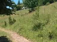 Sale, land lot, 99100m², Donja Bukovica, Šavnik - image 22