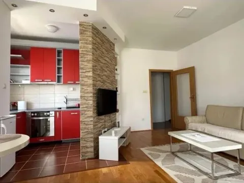 Izdavanje, jednosoban stan, 45m², Tološi, Podgorica - image 6