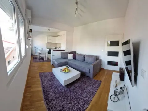 Izdavanje, jednosoban stan, 41m², Stari Aerodrom, Podgorica - image 13