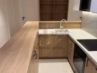 Izdavanje, četvorosoban stan, 95m², Vračar Sve Podlokacije, Beograd - image 4