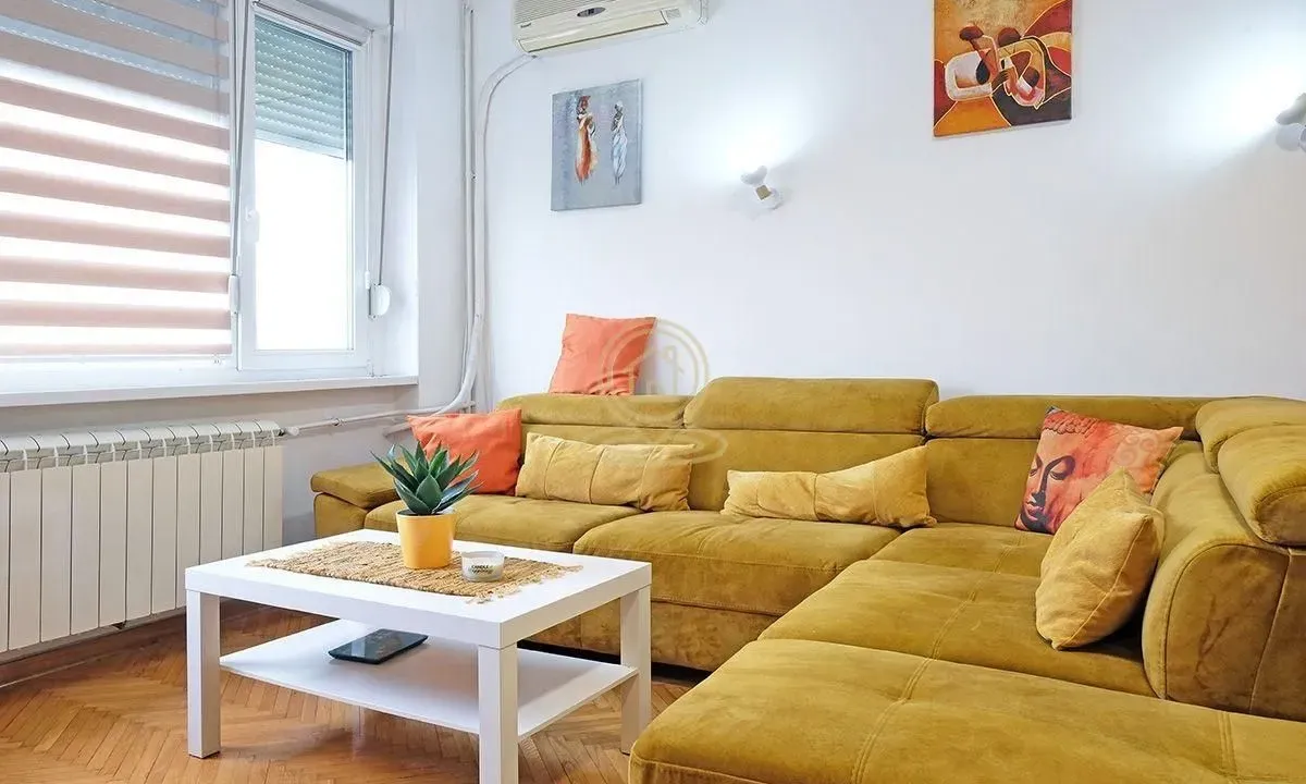 Izdavanje, dvosoban stan, 45m², Vračar Hram, Vračar Sve Podlokacije