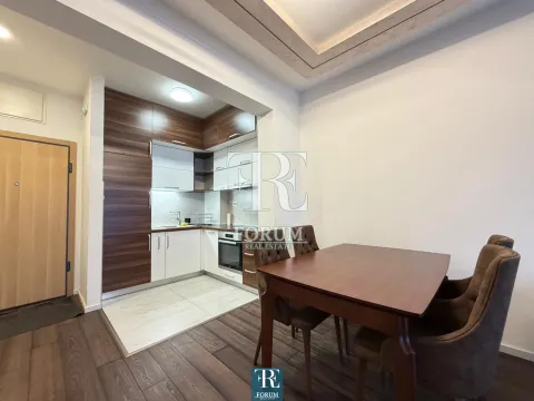 Izdavanje, jednosoban stan, 50m², Vezirov Most, Podgorica - image 4