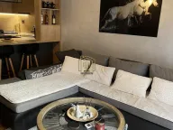 Izdavanje, jednosoban stan, 45m², Zabjelo, Podgorica - image 9