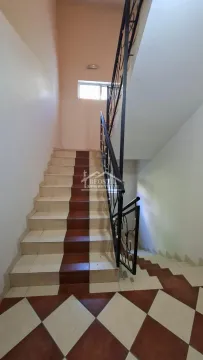 Rent, two bedroom apartment, 51m², Zvezdara Sve Podlokacije, Beograd - image 16