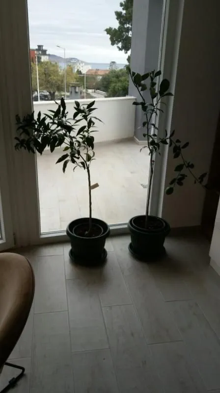 Sale, studio apartment, 36m², Sutomore, Bar