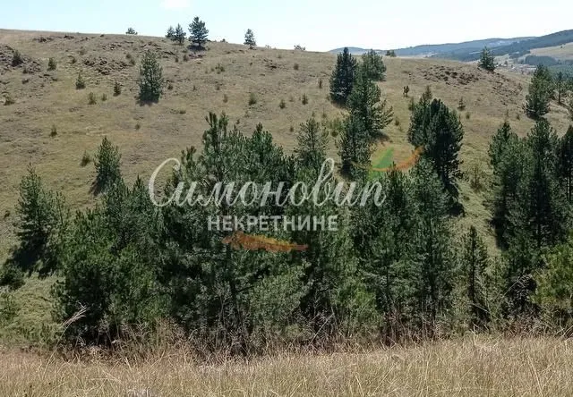 Prodaja, plac, 212100m², Divčibare, Valjevo