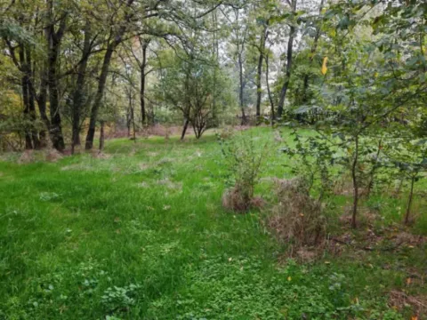 Prodaja, plac, 33900m², Velika Ivanča, Mladenovac - image 9